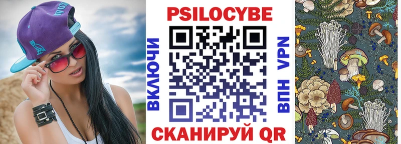 Галлюциногенные грибы GOLDEN TEACHER  купить наркоту  даркнет формула  Кудымкар 